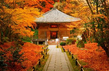 Entsuin Temple autumn leaves images